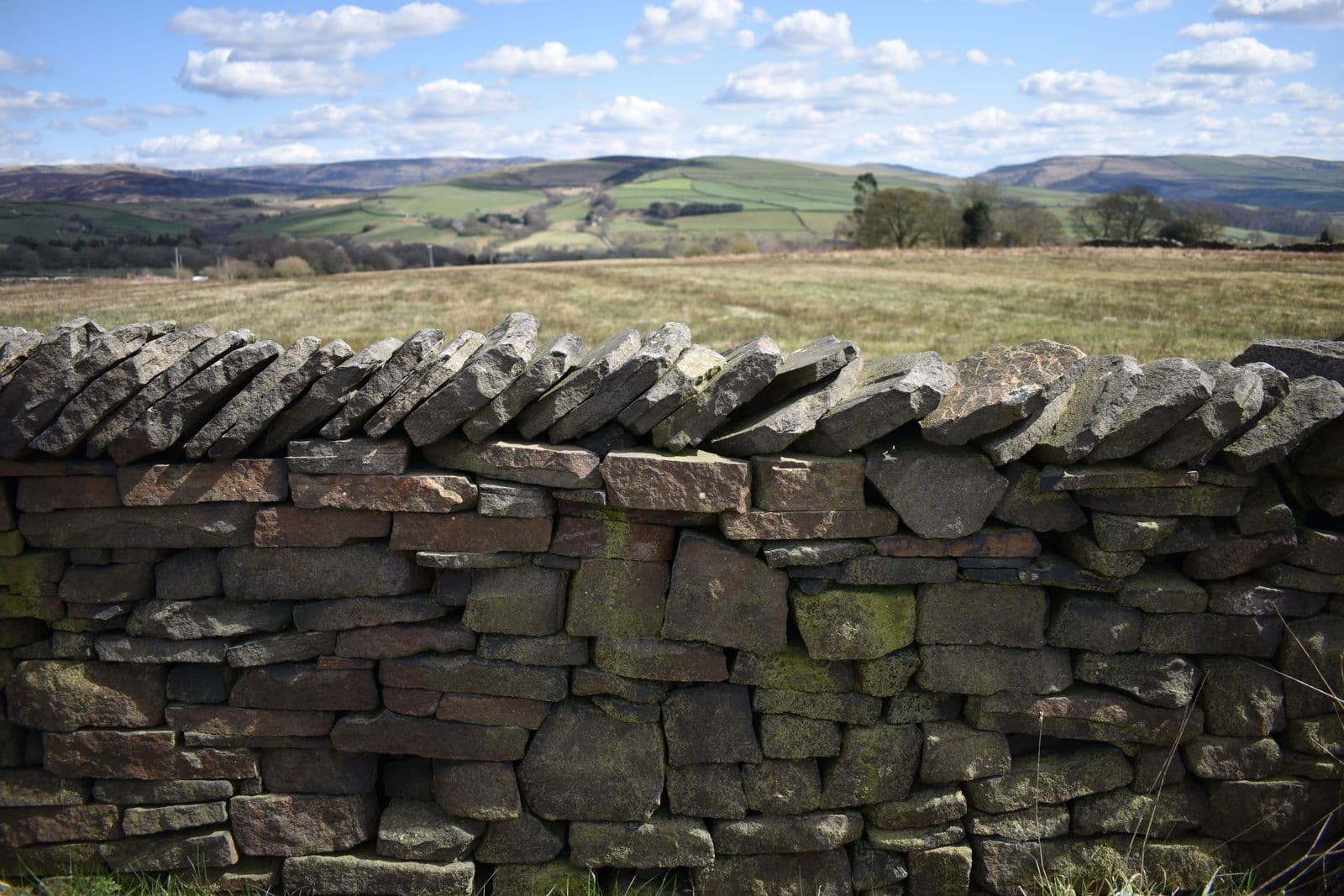 Dry stone wall running through open ground