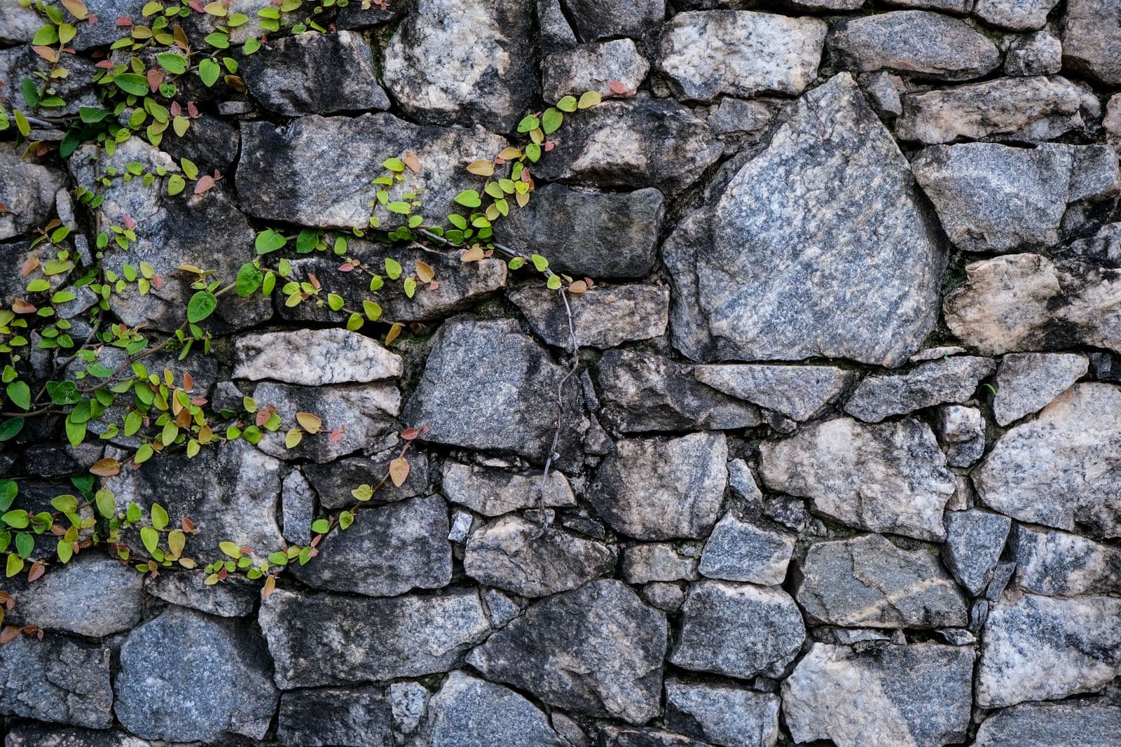 Dry-Stacked Stone — Stacked stone wall face, close up