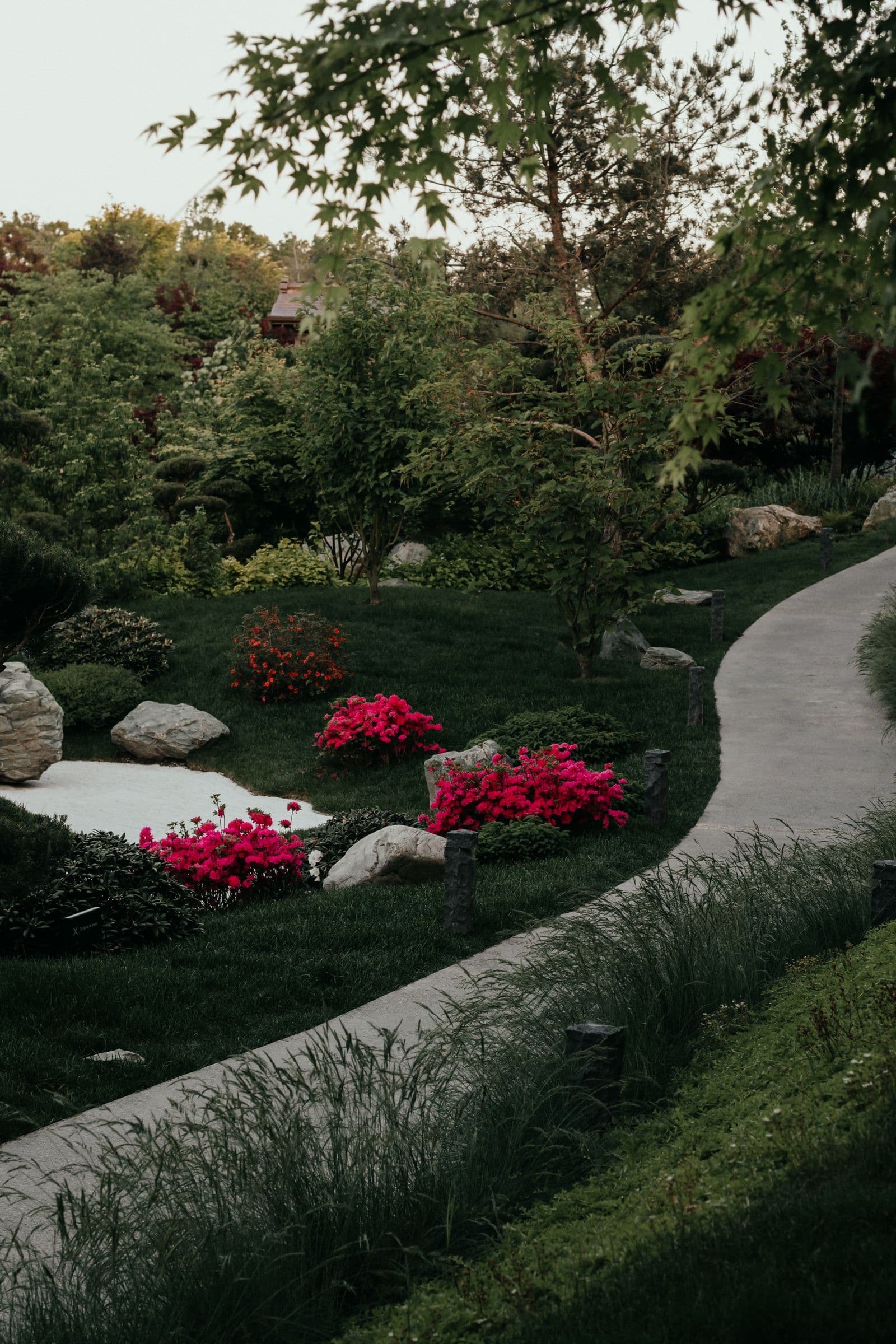 Curved garden walkway with seasonal planting